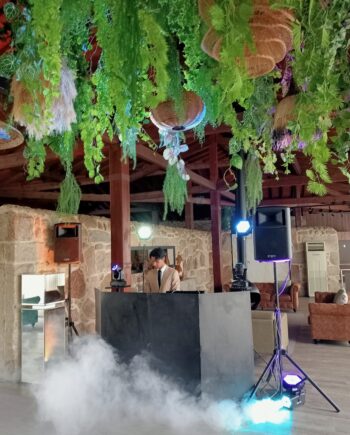Animação Bodas de Ouro